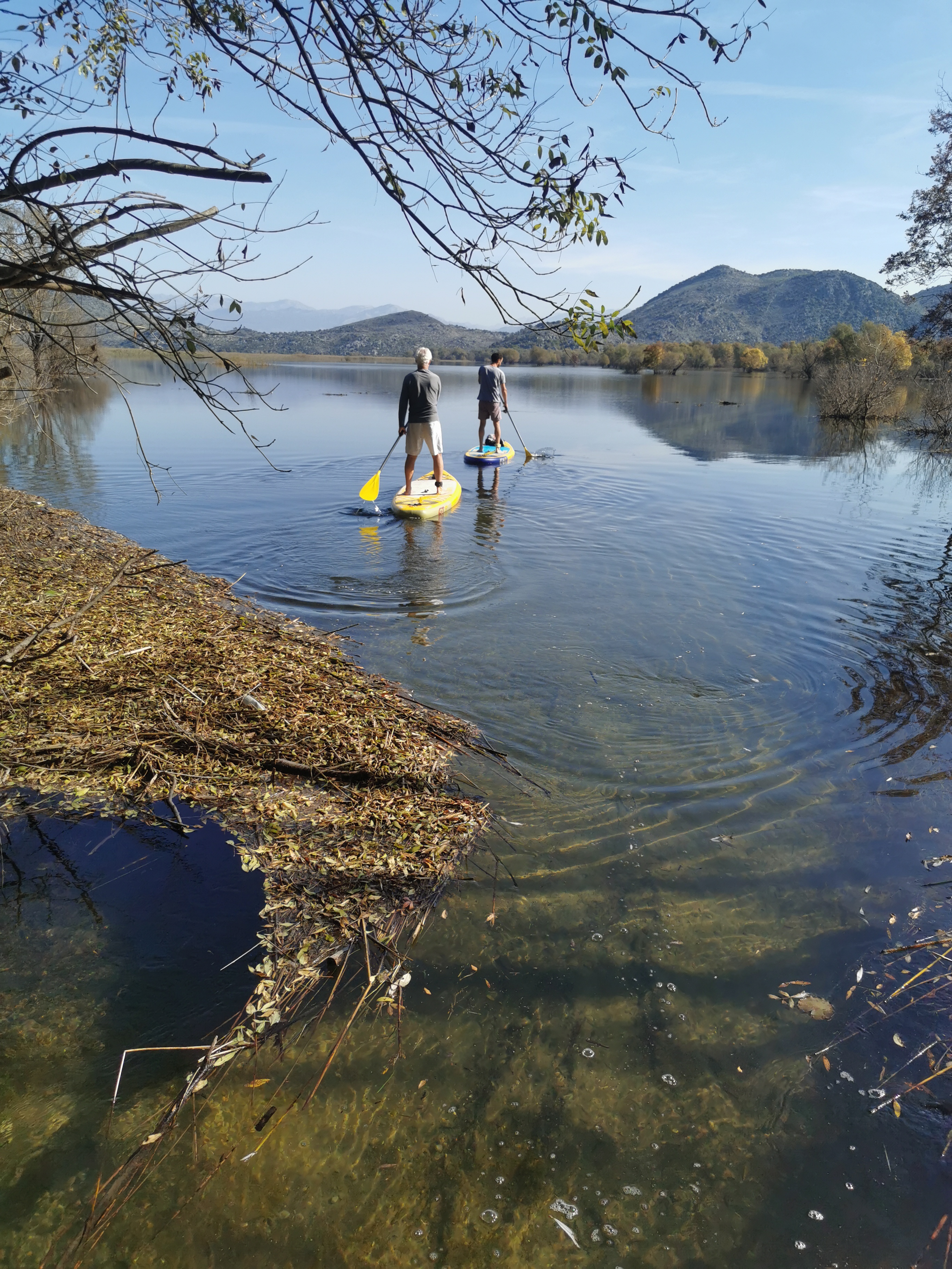 Paddleboarders setting off from an autumn shoreline on Skadar Lake